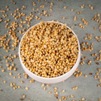 Itlian Millet (100gm)